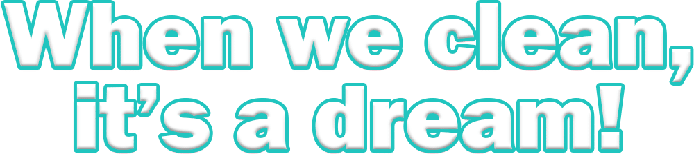 Twinkle & Sparkle Cleaning Co. - When we clean, it's a dream!